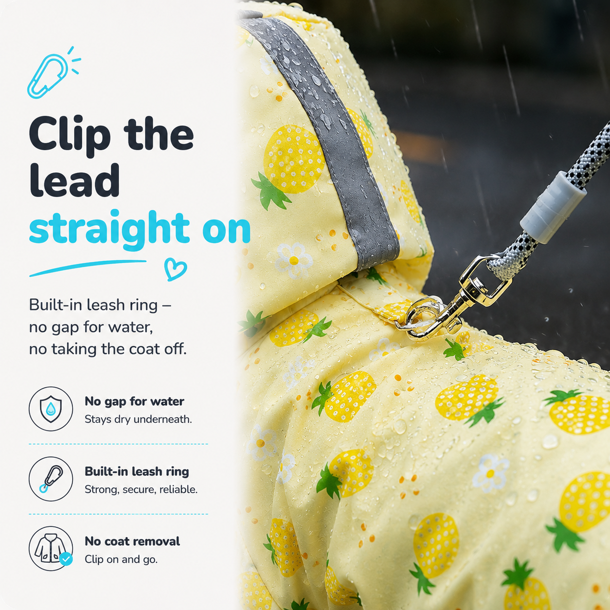 Close-up of a lead clipped onto the raincoat's built-in leash ring - no gap for water and no need to take the coat off