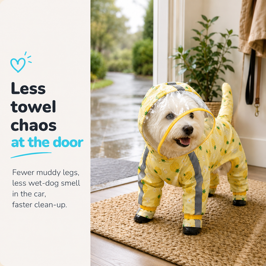 Pineapple Paradise Full-Cover Raincoat