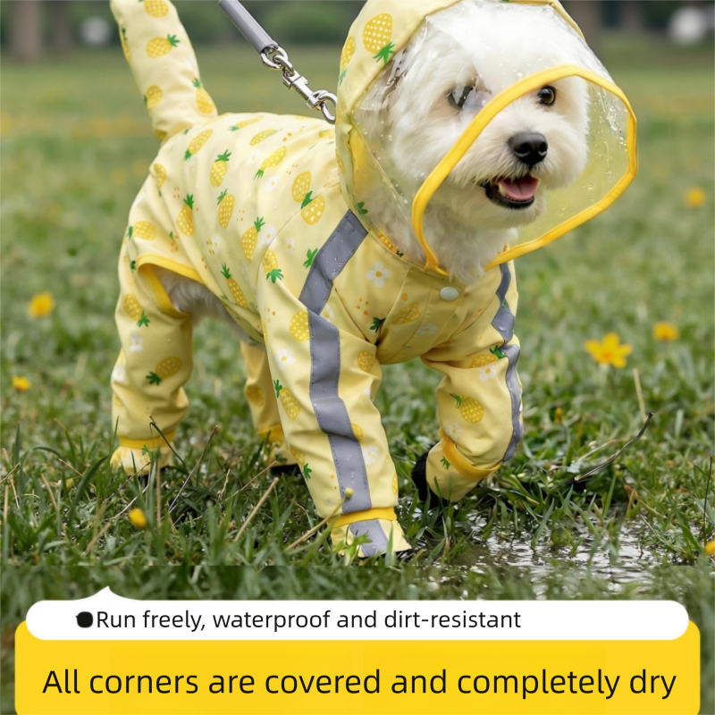 Rainy Day Care Set