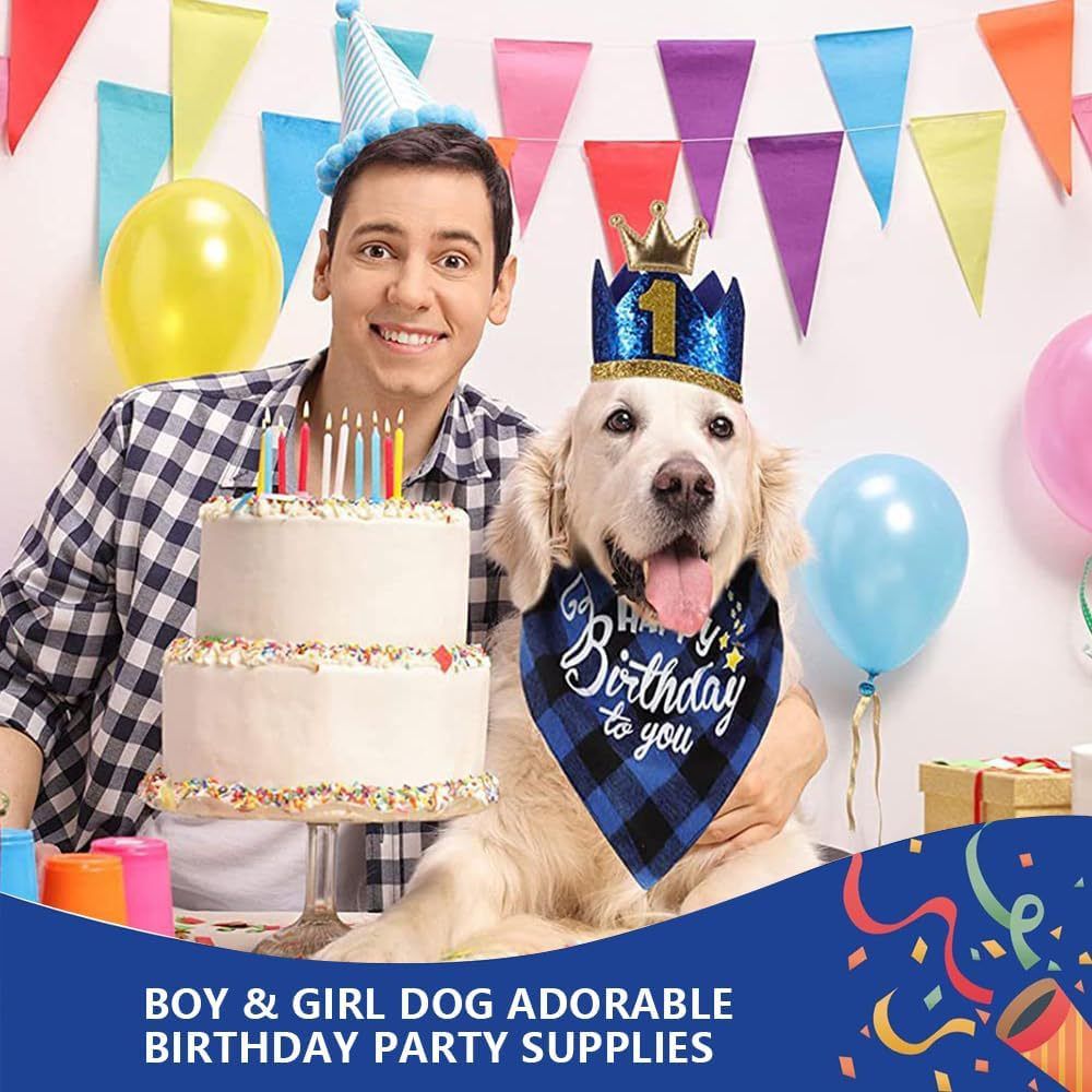 Pet Birthday Party Kit — Bandana, Hat, Bow Tie, Balloons & Banner (Blue)