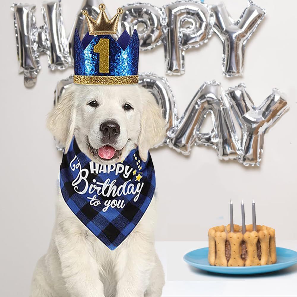 Pet Birthday Party Kit — Bandana, Hat, Bow Tie, Balloons & Banner (Blue)