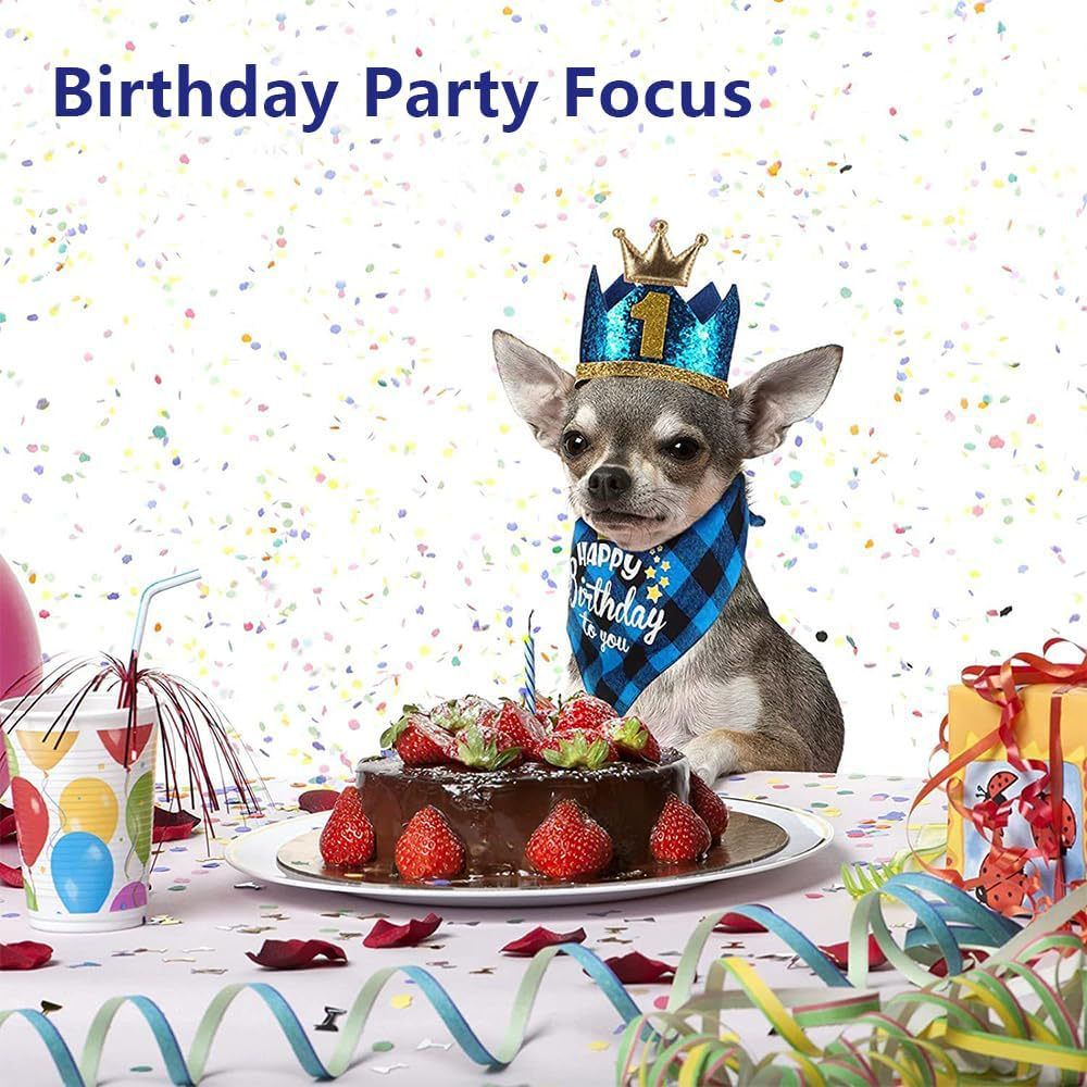 Pet Birthday Party Kit — Bandana, Hat, Bow Tie, Balloons & Banner (Blue)