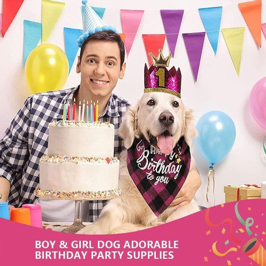 Pet Birthday Party Kit — Bandana, Hat, Bow Tie, Balloons & Banner
