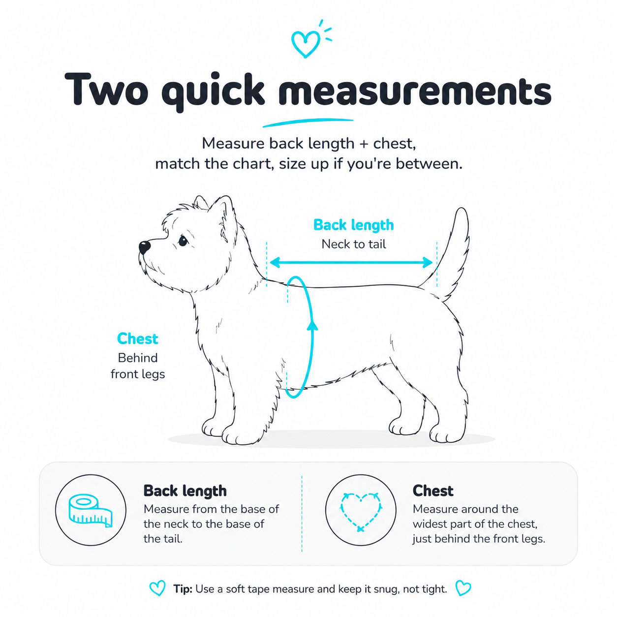 How to measure your dog - back length and chest girth diagram for choosing raincoat size S to XL